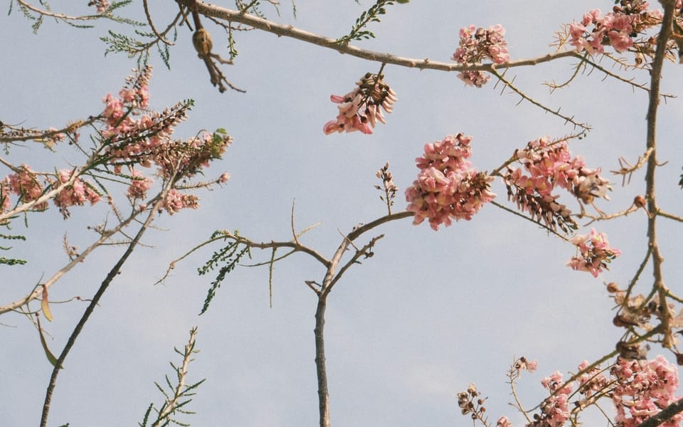 Life On Life's Terms